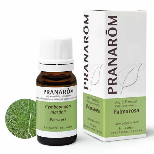 PRANARÔM Palmarosa ätherisches Öl 10 ml