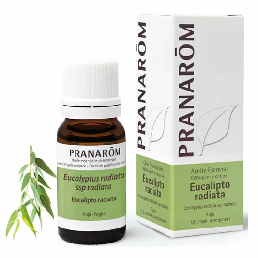 PRANARÔM Pranarom Eucalyptus Radiata Essential Oil 10 ml Kosmetik