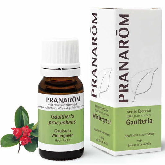 PRANARÔM Pranarom Wintergreen Leaf Essential Oil 10 ml Kosmetik