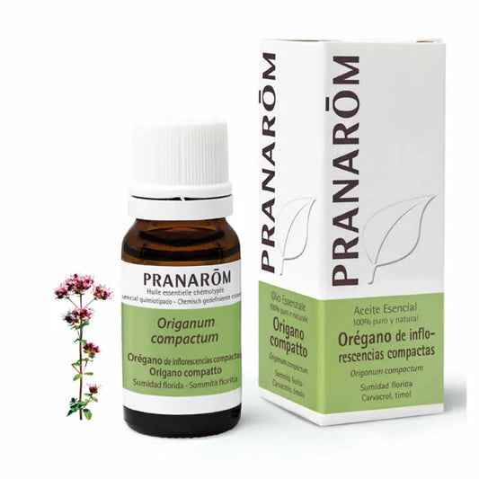 PRANARÔM Oregano Compact Flowering Top ätherisches Öl 10 ml