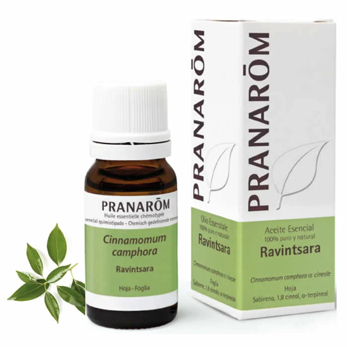 PRANARÔM Pranarom Ravintsara Essential Oil 10ml