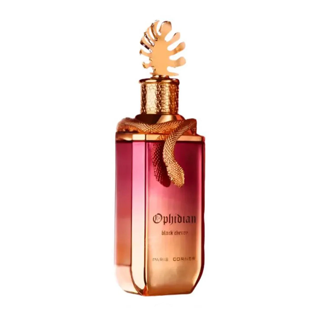 PARIS CORNER PARIS CORNER Ophidian Eau de Parfum Black Cherry 100 ml Spray Parfüm