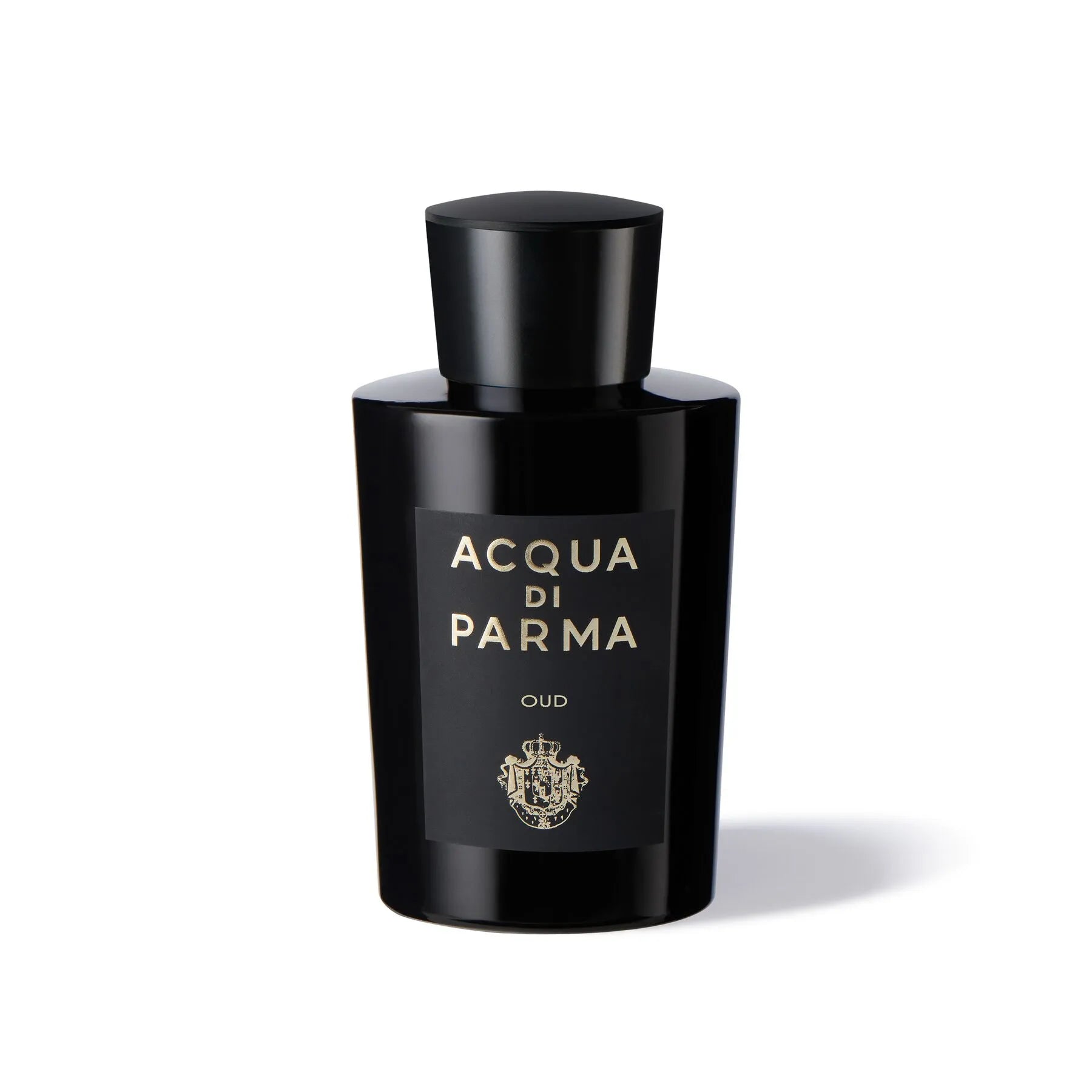 ACQUA DI PARMA ACQUA DI PARMA Oud Eau de Parfum Spray 180 ml Parfüm