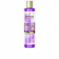 PANTENE Pantene Cham Violeta Shampoo 250 ml ohne Sulfate Kosmetik