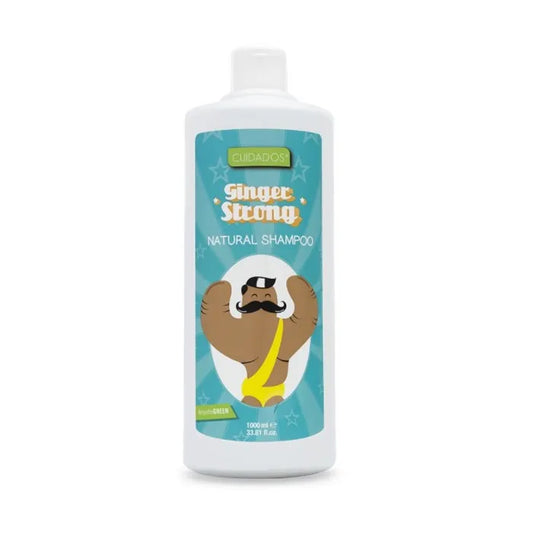 VALQUER VALQUER Ginger Strong Shampoo 1000 ml