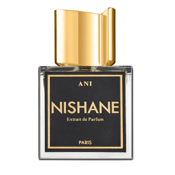 NISHANE NISHANE Ani Extrait De Parfum Spray 100 ml Parfum Herren Damen Parfüm