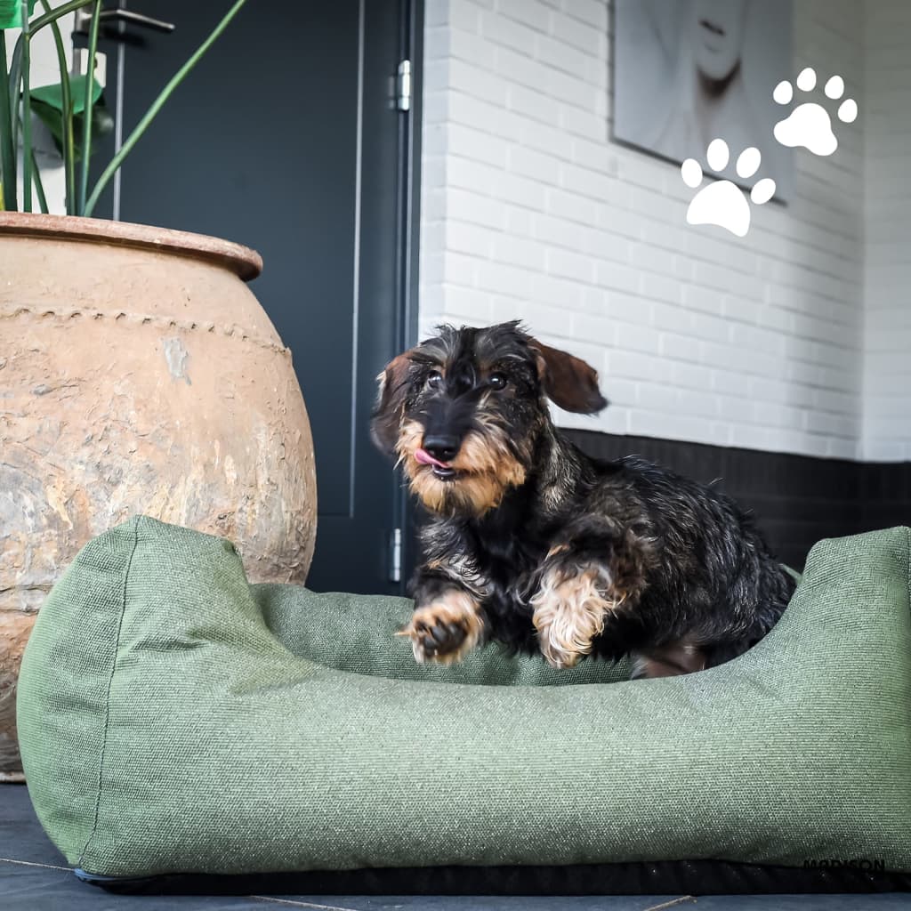 Madison Outdoor-Hundebett Manchester