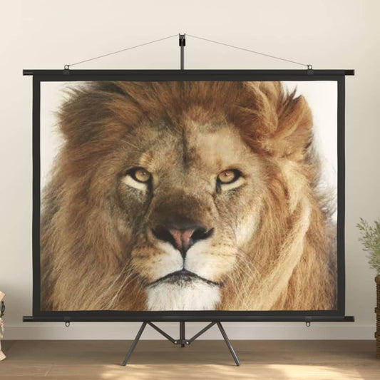 Beamer Leinwand
