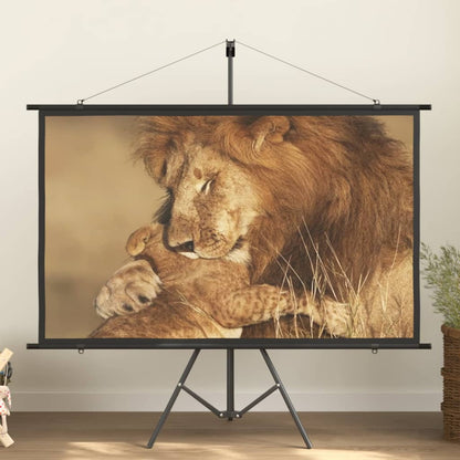 Beamer-Leinwand Mit Stativ