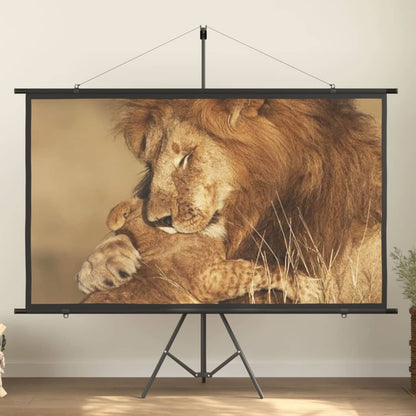 Beamer-Leinwand Mit Stativ