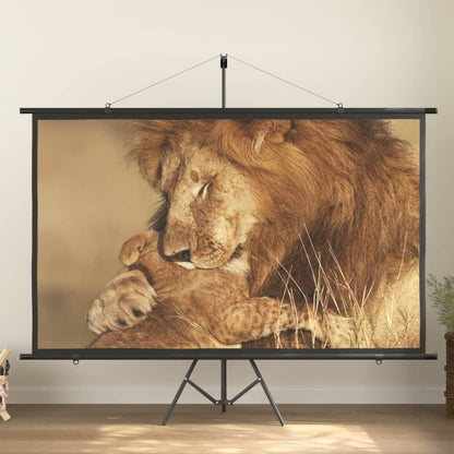 Beamer-Leinwand Mit Stativ