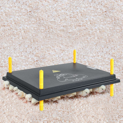 Wärmeplatte Für Küken Und Entenküken