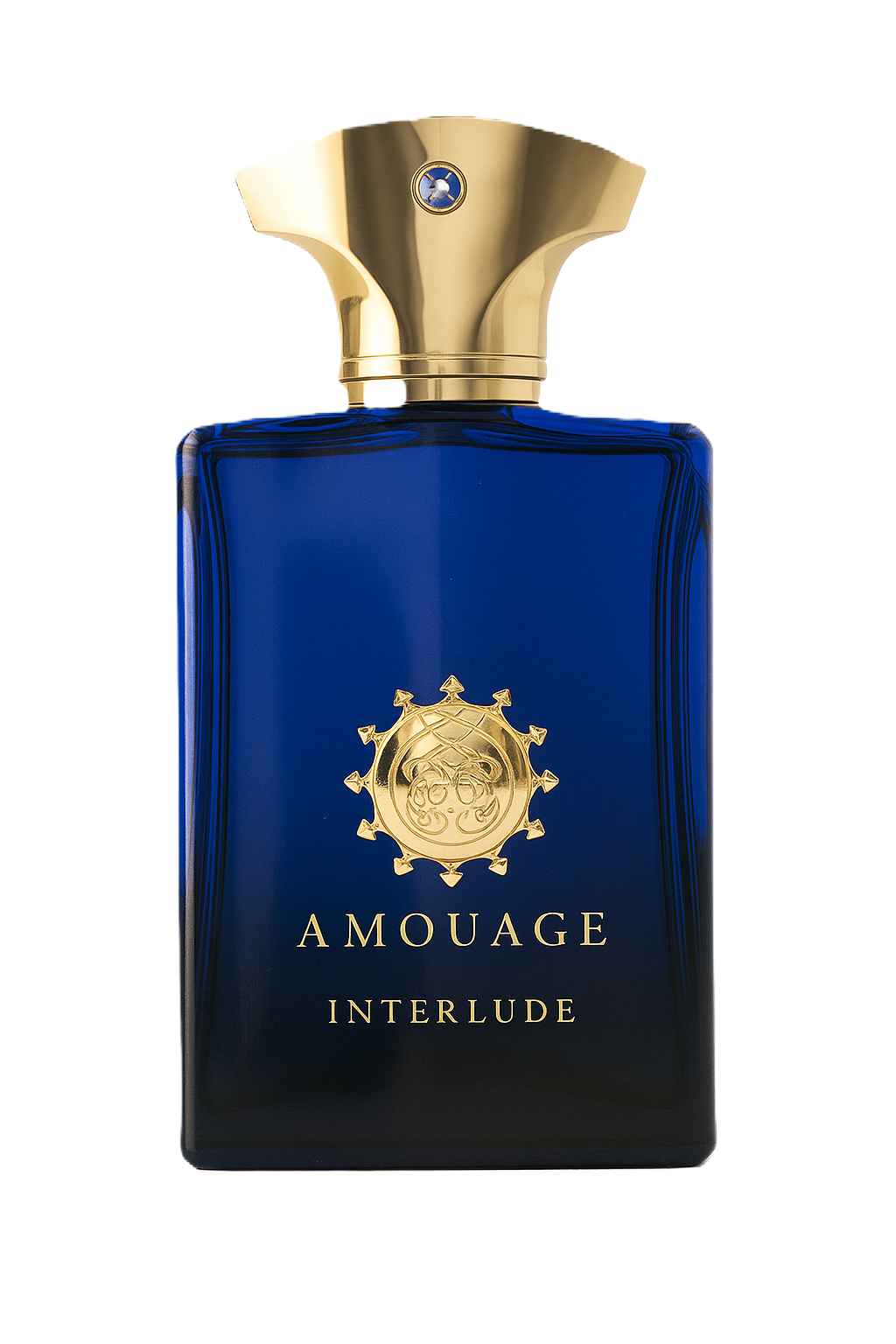 AMOUAGE INTERLUDE MAN EDP 100 ML VAPO