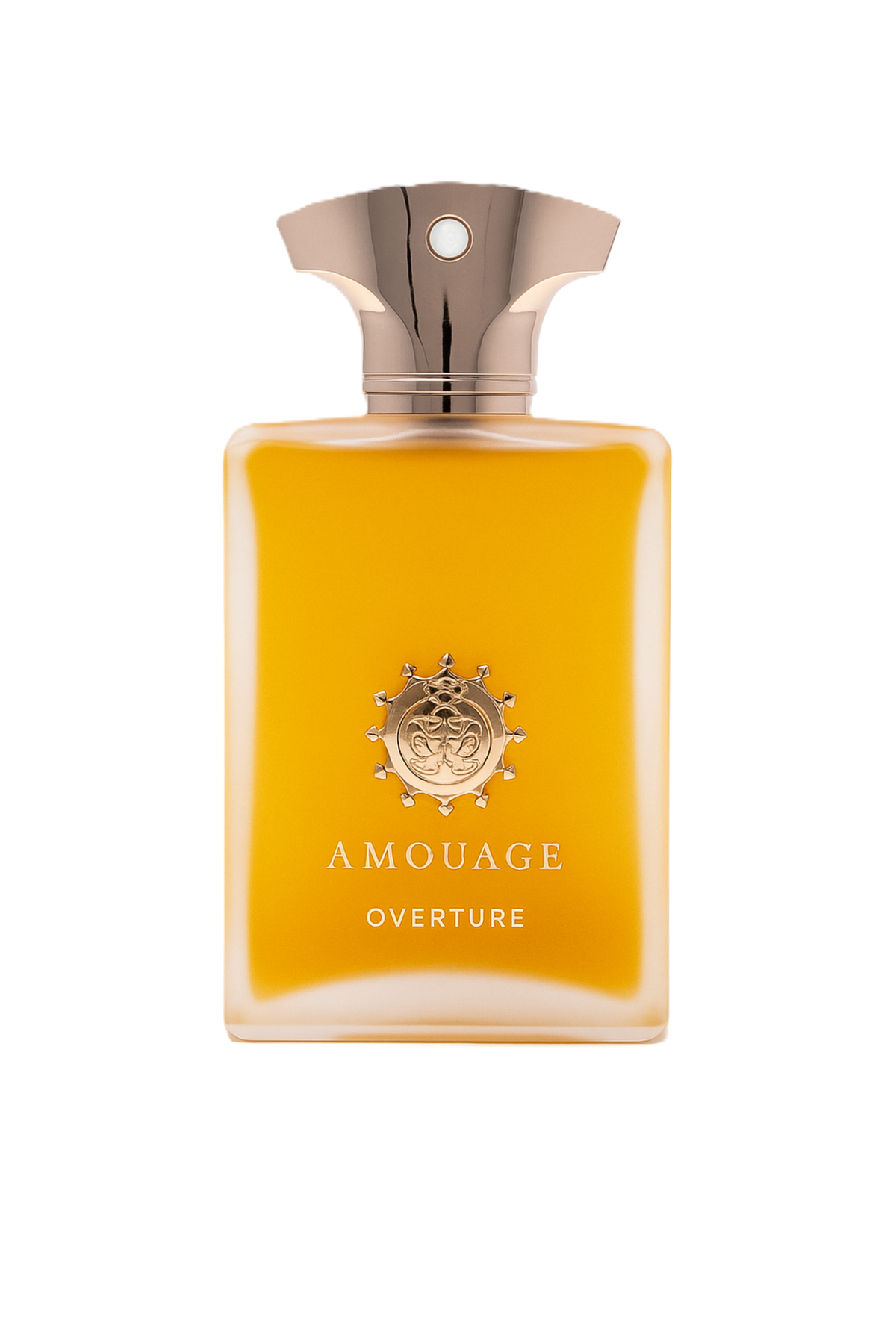 AMOUAGE OVERTURE MAN EDP 100 ML