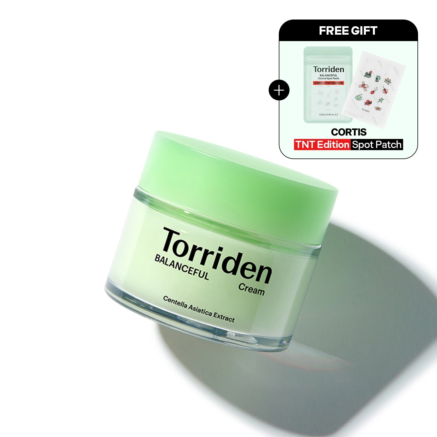 TORRIDEN Balanceful Cica Cream 80 ml Gesichtscreme