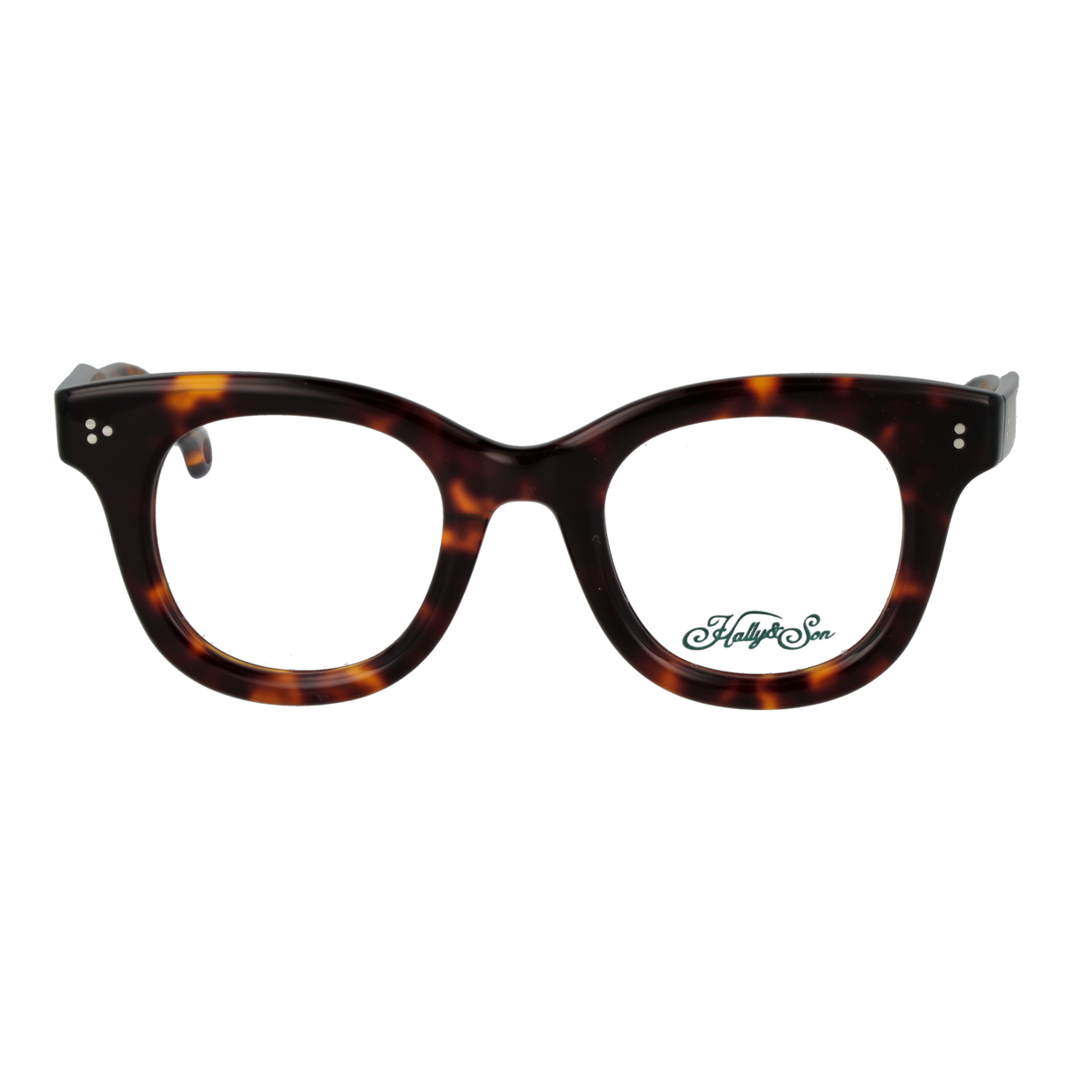 HALLY & SON HS861V02 4602 Sonnenbrille – Detailansicht