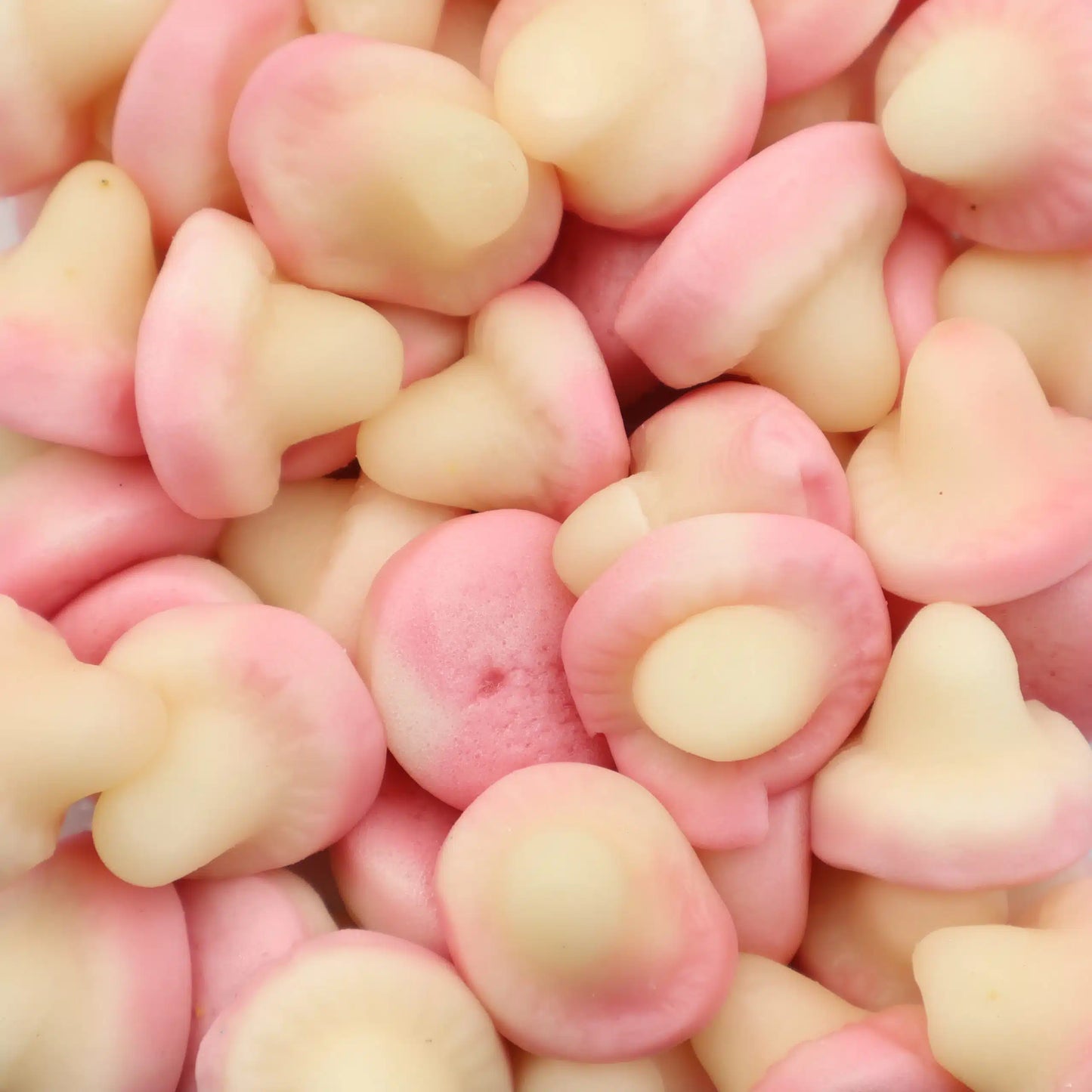 Dulceplus Jelly Mushroom Pilze 1 Kg