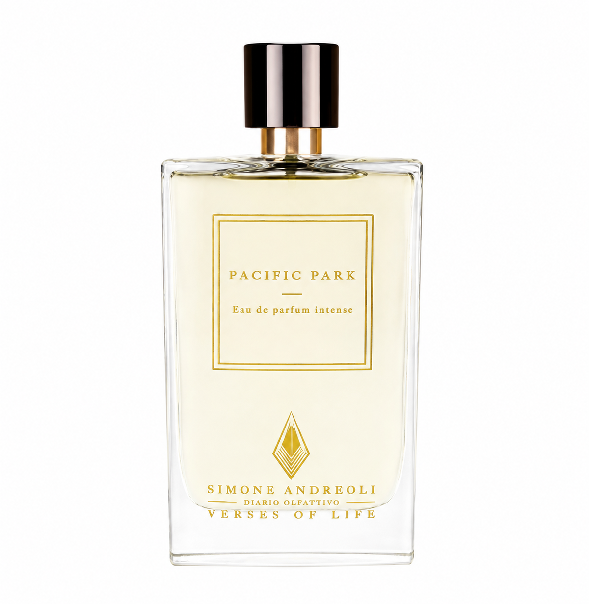 SIMONE ANDREOLI PACIFIC PARK EDP 100 ML VAPO