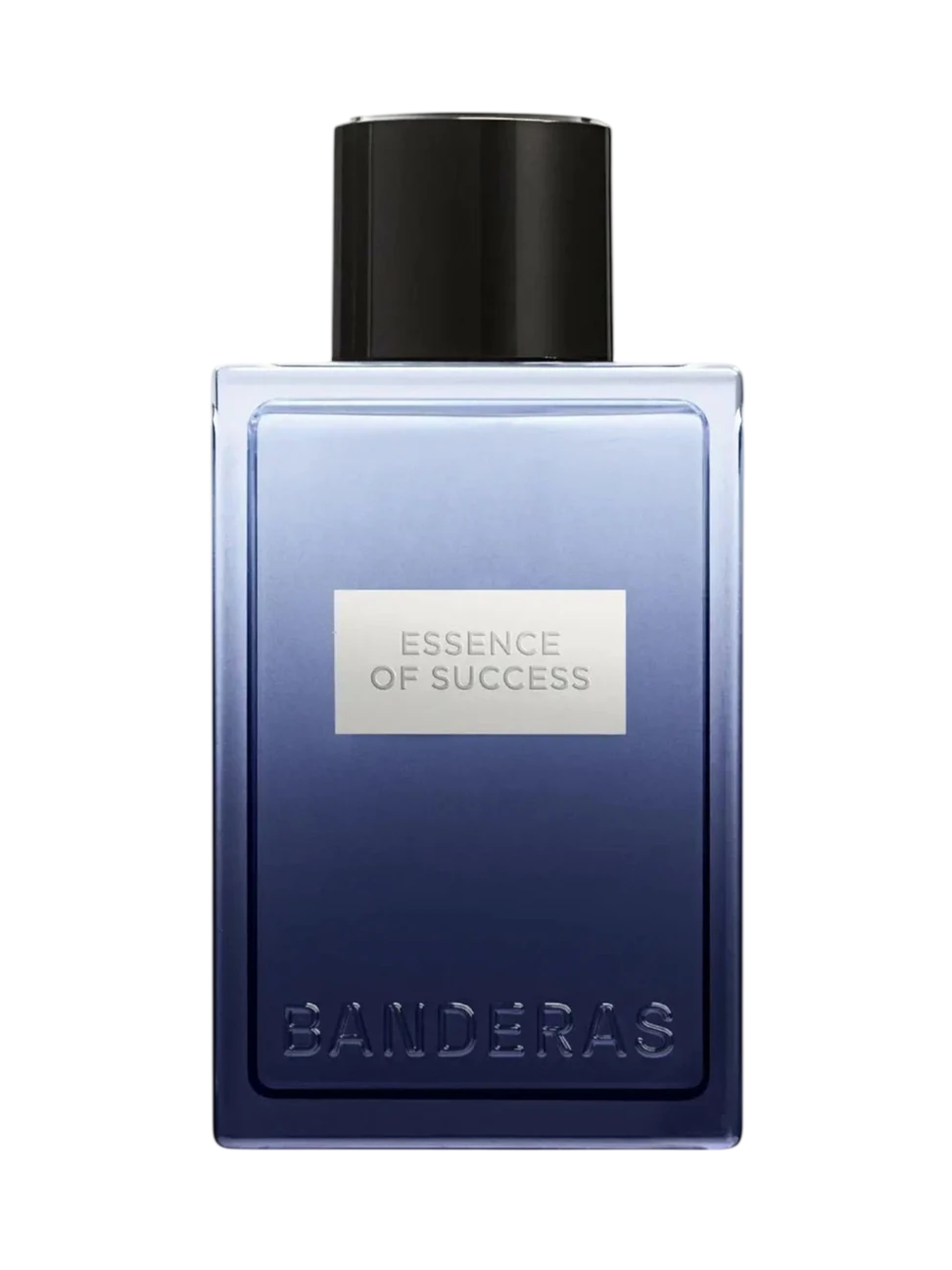 Antonio Banderas Antonio Banderas, Essence of Success, Eau de Toilette, Für Männer, 100 ml Regular