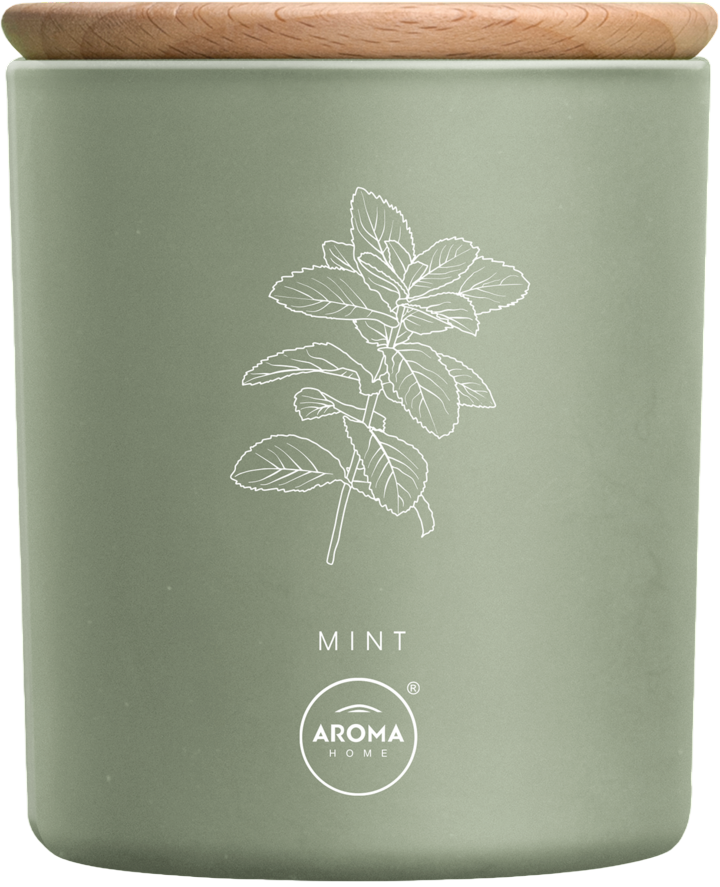 Aroma Home Aroma Home, Mint, Duftkerze, 150 g Regular