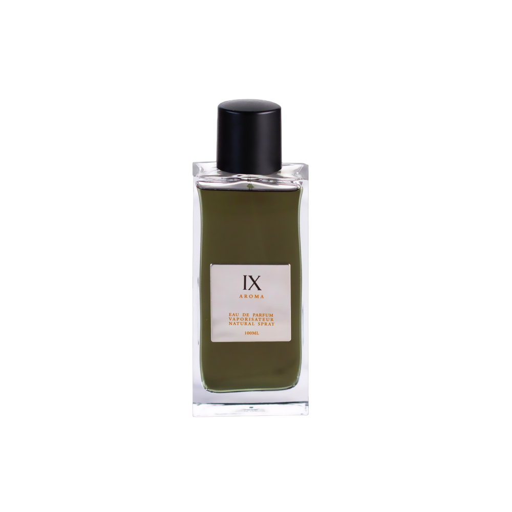 Aurora Aurora Aroma IX Eau de Parfum für Männer 100 ml Parfüm