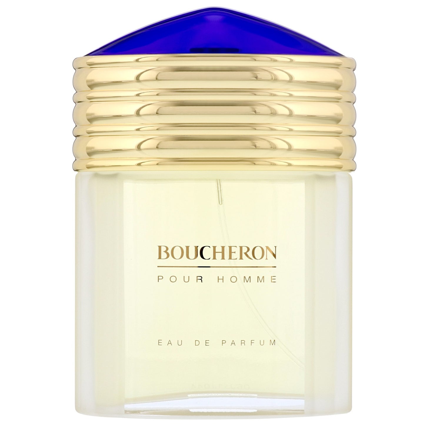 Boucheron Boucheron Eau de Toilette für Männer 100 ml Parfüm