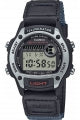 CASIO COLLECTION & VINTAGE W-220HF-8AVEF Multifunction Armbanduhr 36.6 mm Silber ansicht-3