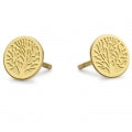 CO88 COLLECTION 8CE-70144 Schmuck ansicht-2