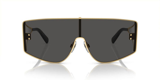 DOLCE & GABBANA SUNGLASSES DG 2305 DG 2305_02-87_44 Sonnenbrille
