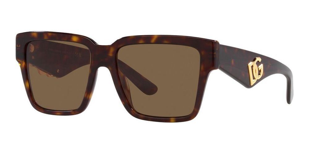 DOLCE & GABBANA SUNGLASSES DG 4436 DG 4436_502-73_55 Sonnenbrille ansicht-2