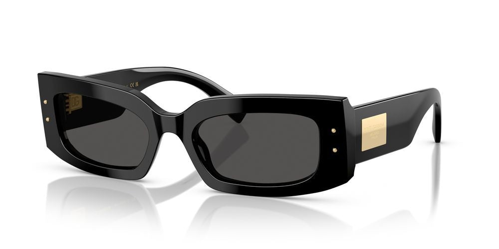 DOLCE & GABBANA SUNGLASSES DG 4479 DG 4479_501-87_55 Sonnenbrille ansicht-2