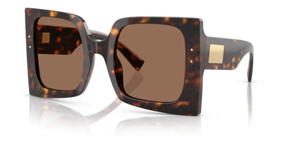 DOLCE & GABBANA SUNGLASSES DG 4490 DG 4490_502-73_53 Sonnenbrille ansicht-2