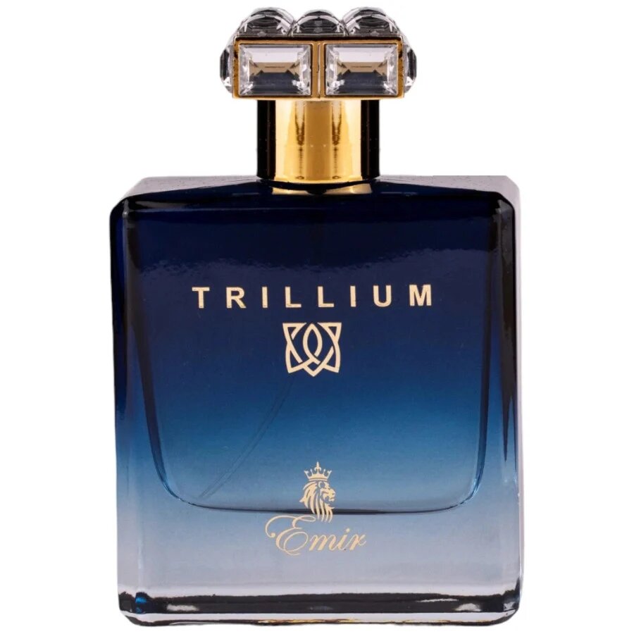 Emir Emir, Trillium, Eau de Parfum, Für Männer, 100 ml Regular