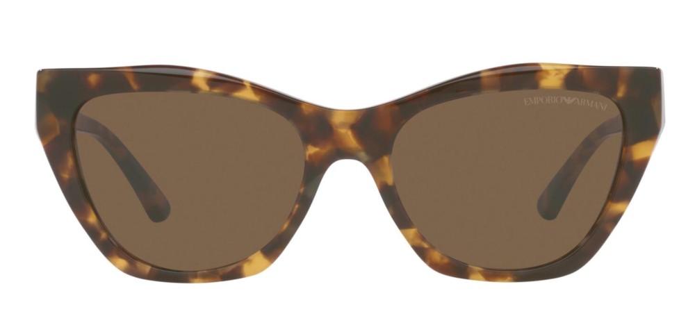 EMPORIO ARMANI SUNGLASSES EA 4176 EA 4176_5025-73_54 Sonnenbrille ansicht-2