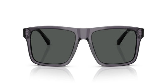 EMPORIO ARMANI SUNGLASSES EA 4232 EA 4232_610687_57 Sonnenbrille