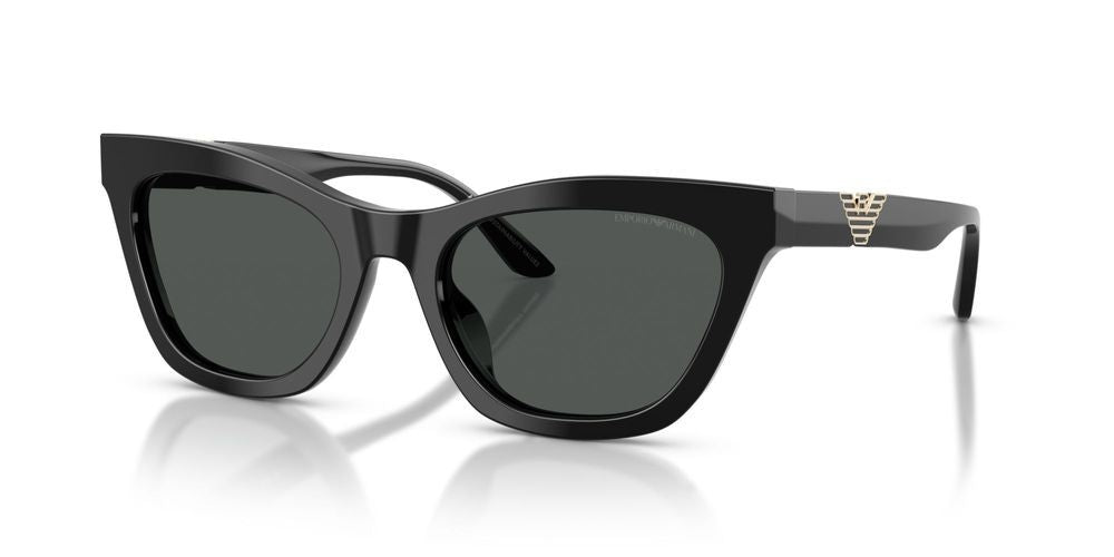 EMPORIO ARMANI SUNGLASSES EA 4259U EA 4259U_501787_55 Sonnenbrille ansicht-2