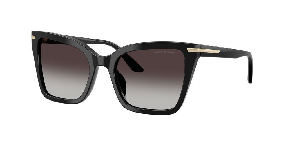 EMPORIO ARMANI SUNGLASSES EA 4273BU EA 4273BU_50178G_53 Sonnenbrille ansicht-2