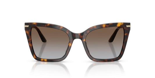EMPORIO ARMANI SUNGLASSES EA 4273BU EA 4273BU_502689_53 Sonnenbrille