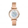 FOSSIL BQ3820 Armbanduhr 36 mm ansicht-3