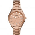 FOSSIL DAYLE BQ3596 Armbanduhr 38 mm ansicht-3