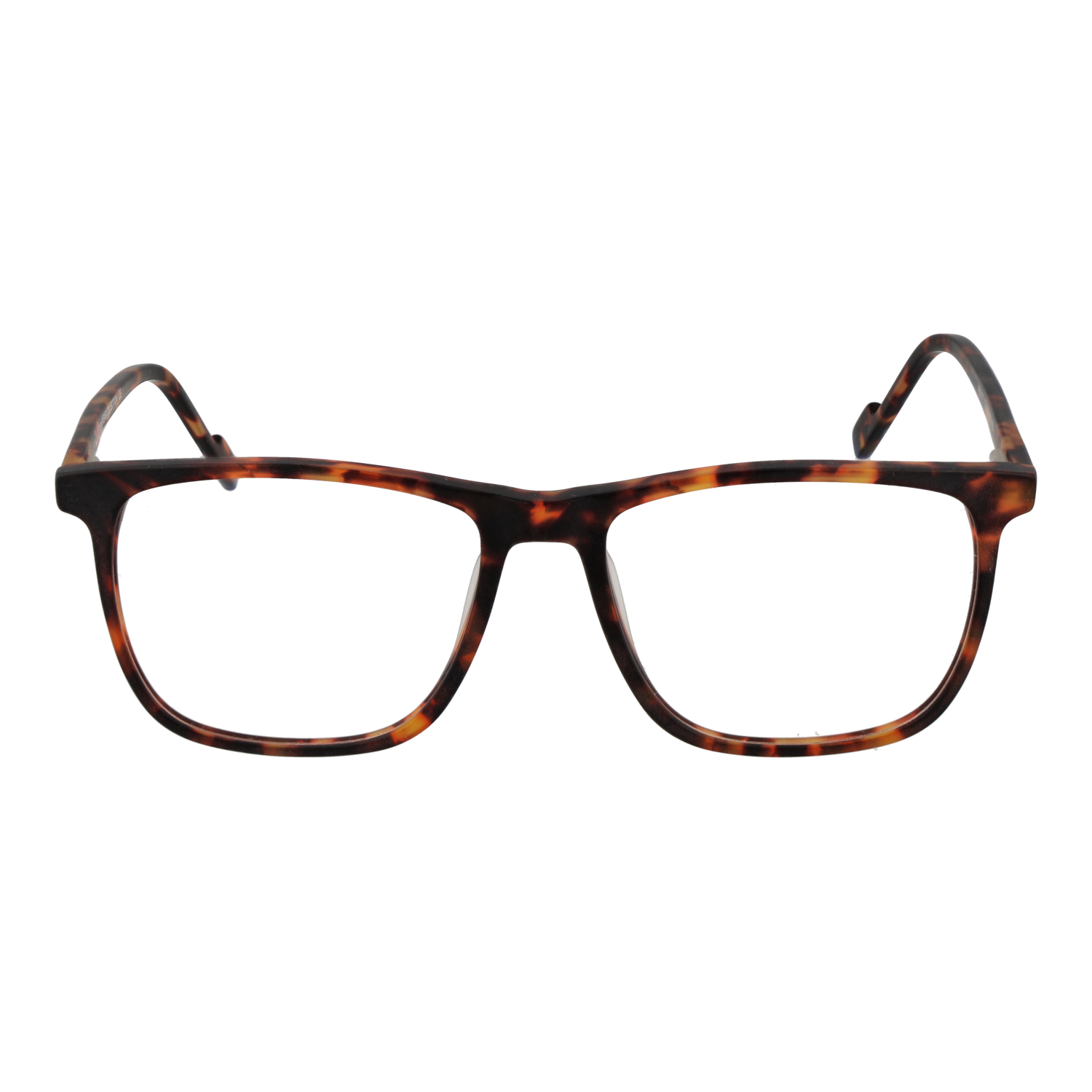 FUNKY BUDDHA EYEWEAR FBD1073 56003 Sonnenbrille