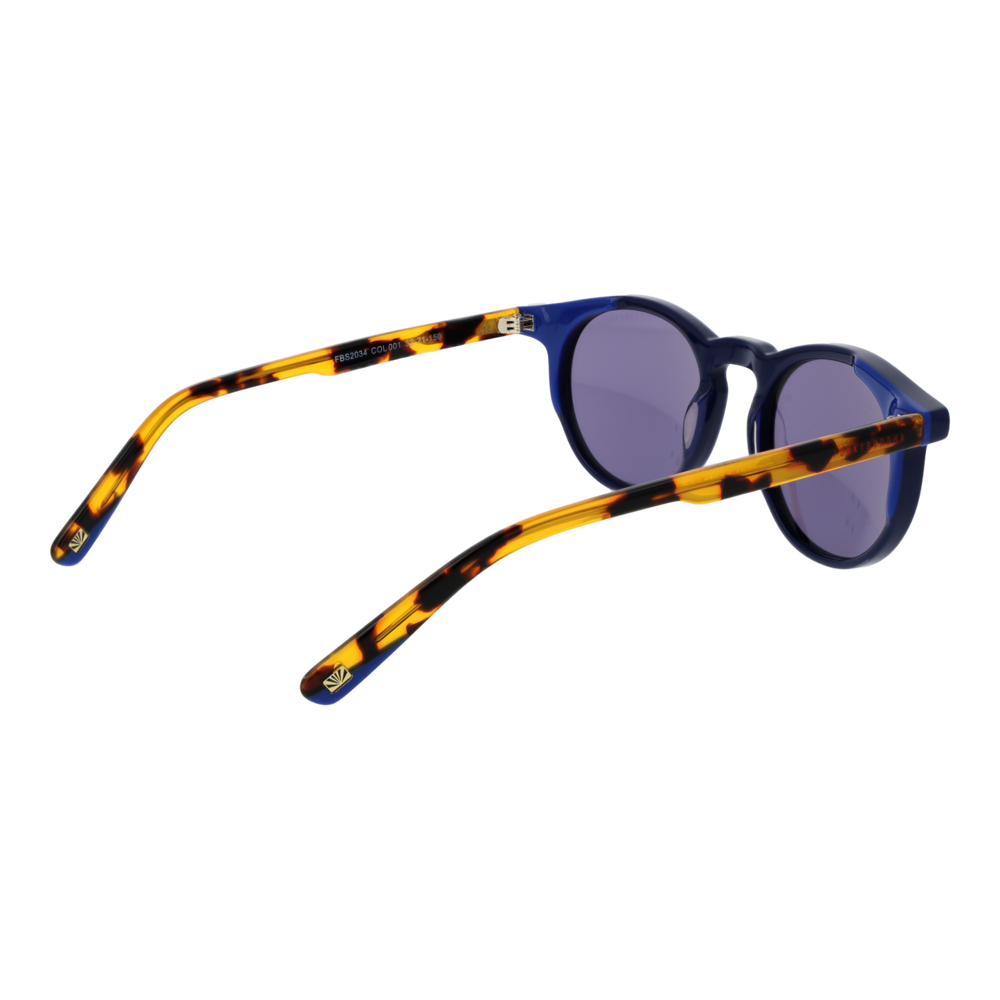 FUNKY BUDDHA SUNGLASSES FBS2034 52001 Sonnenbrille ansicht-2