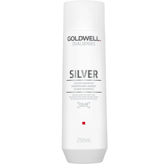 Goldwell Goldwell, Dualsenses Silver, Haarshampoo, Gegen Grau, 250 ml Regular