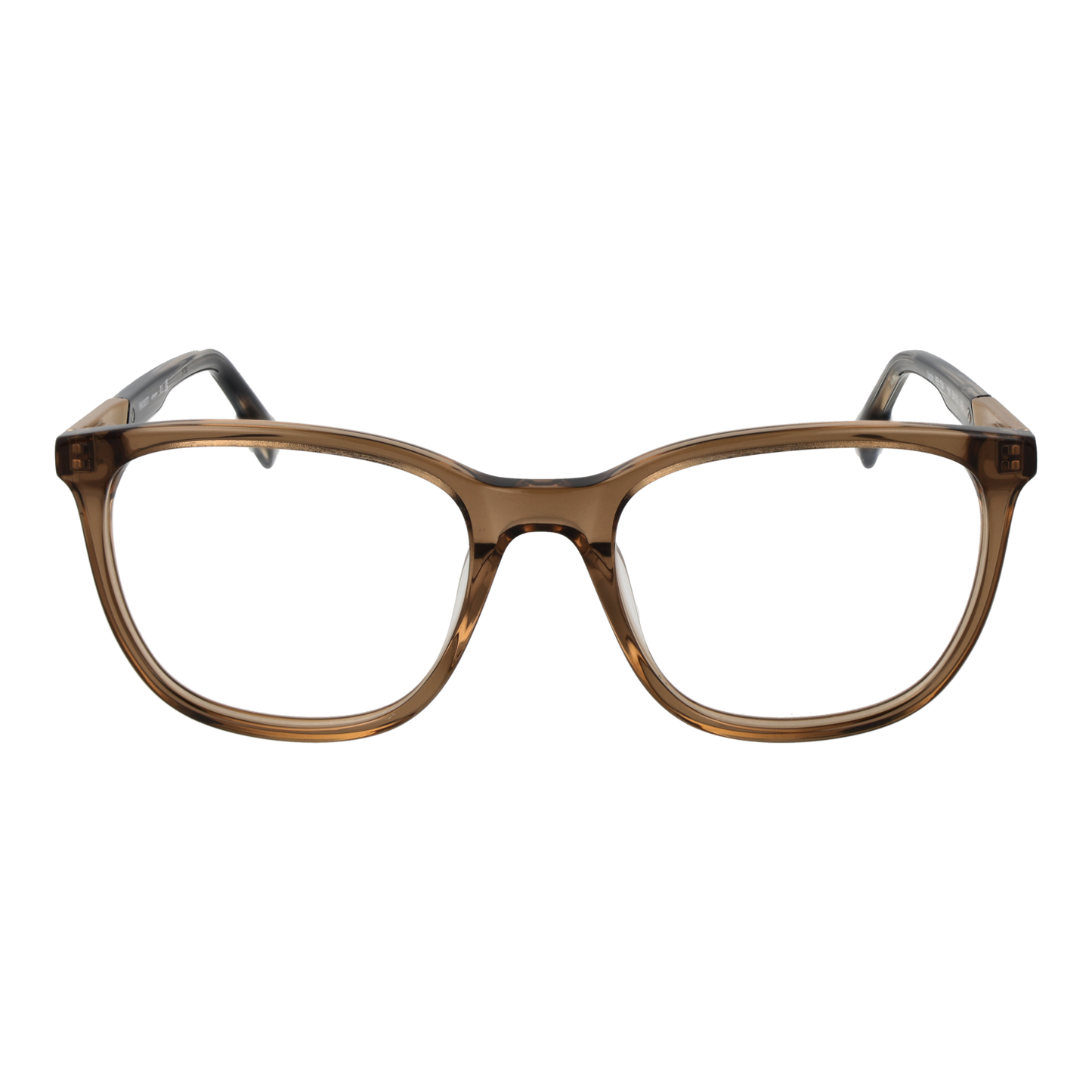 HACKETT EYEWEAR HEK1304 54191 Sonnenbrille