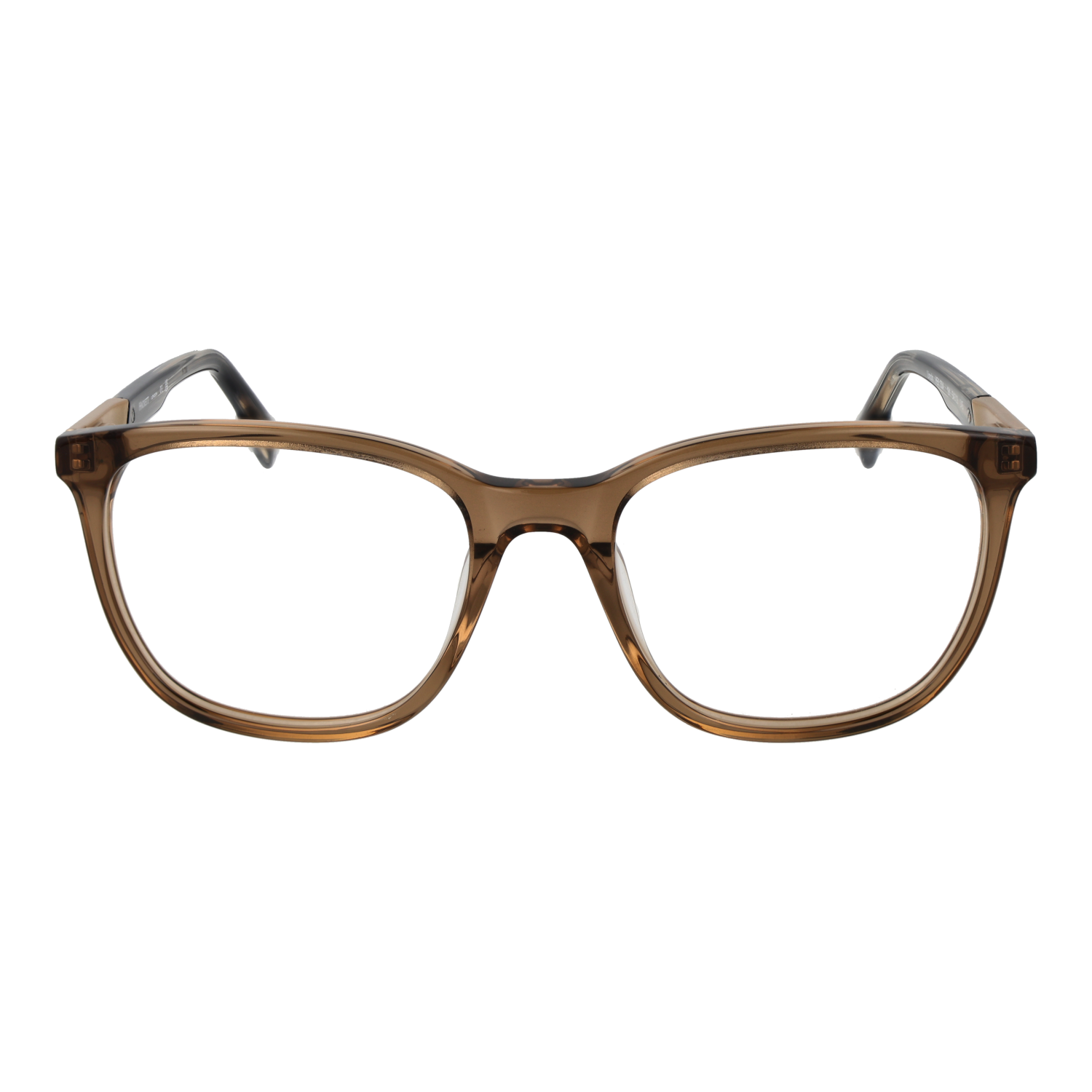 HACKETT EYEWEAR HEK1304 54191 Sonnenbrille
