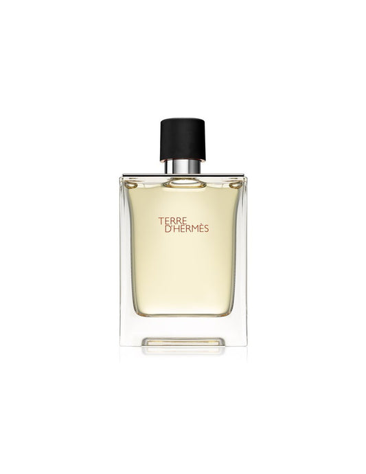 Hermes Hermes, Terre d'Hermes, Eau de Toilette, Für Männer, 100 ml Regular