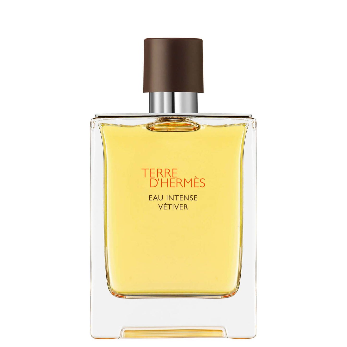 Hermes Hermes, Terre d'Hermes Eau Intense Vetiver, Eau de Parfum, Für Männer, 100 ml Regular