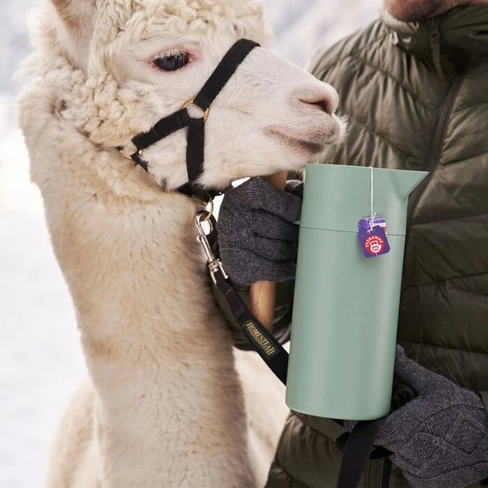 Teekanne Sternenleuchten Pflaume-Zimt 20 Beutel