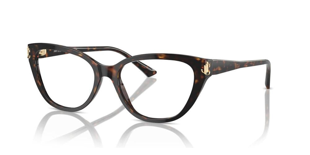 JIMMY CHOO JC 3011 JC 3011_5002_54 Sonnenbrille ansicht-2