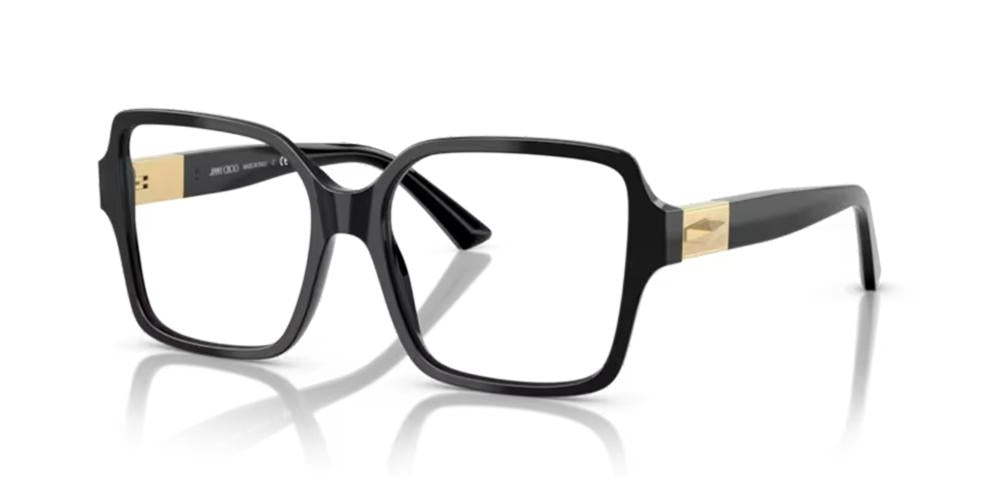JIMMY CHOO JC 3027 JC 3027_5000_54 Sonnenbrille ansicht-2